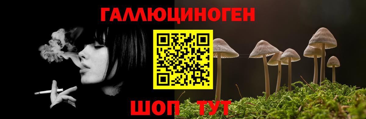 Заволжье  Галлюциногенные грибы ЛСД  Вход с VPN 